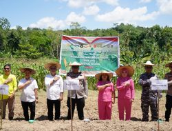 Kapolres Nias Selatan Dorong Ketahanan Pangan Lewat Penanaman Jagung Serentak Kuartal IV