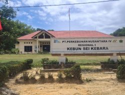 PTPN IV Regional I Kebun Sei Kebara Bantah Tudingan APD Berbayar, Tegaskan Kacamata Resep Bukan Bagian APD